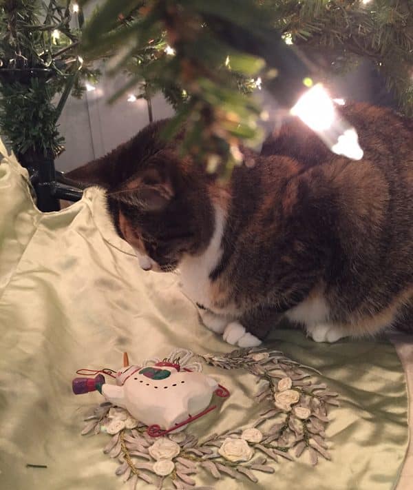 6 Ways My Cats Reacted to My Artificial Christmas Tree Catster