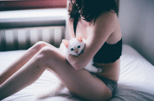 PhotographerCat