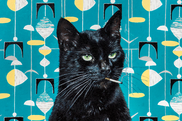 Can You Hve A Cat If You Work Can You Hve A Cat If You Work