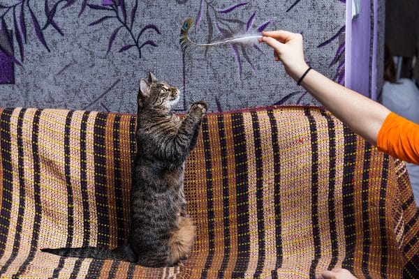 Play as well as other activities can help ease the tensions. Photo by Shutterstock