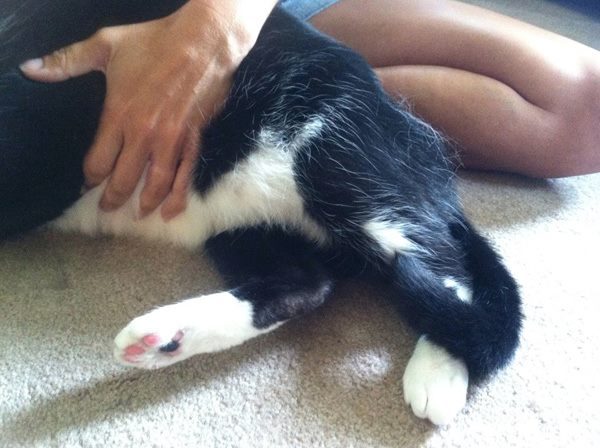 drunk-patty-mittens-hand