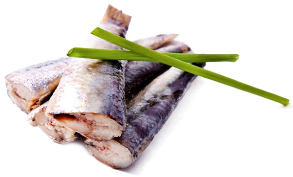 finicky-brain-food-02-414853438-fish