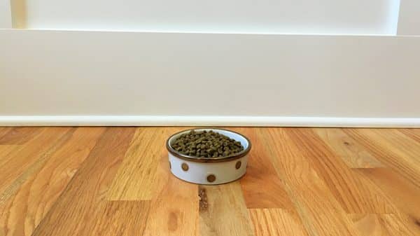 finicky-brain-food-04-bowl