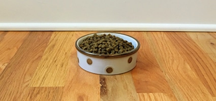 cat food to help urinary problems