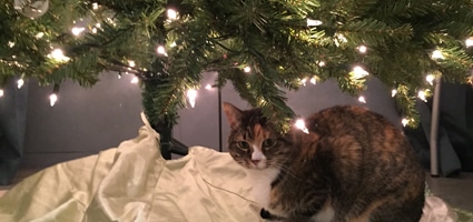 Cat Eating Artificial Christmas Tree