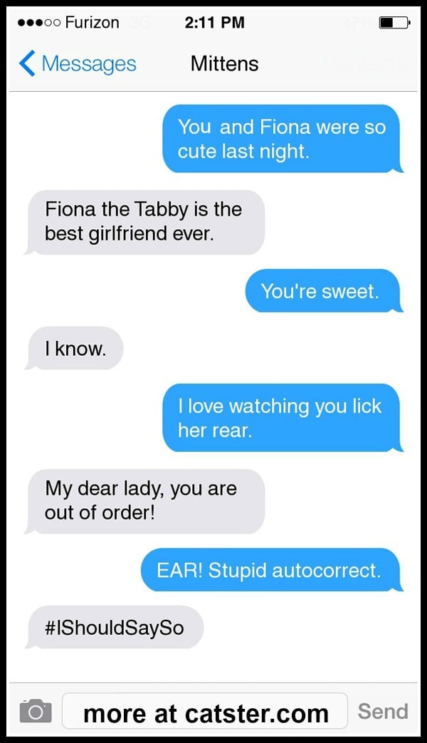 mittens-fiona-autocorrect