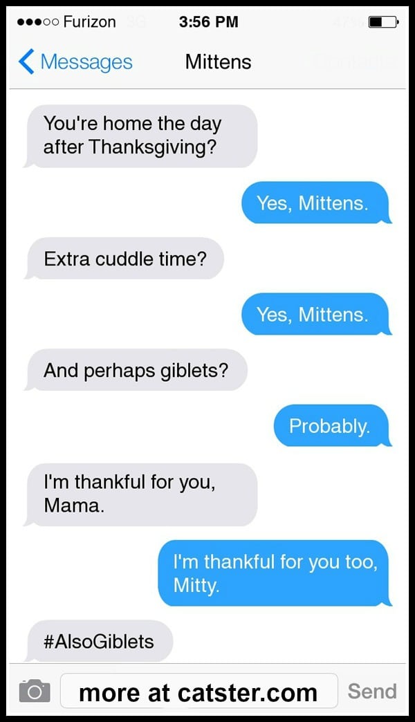 mittens-giblets