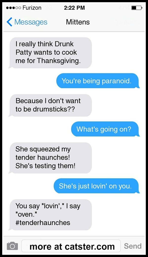 mittens-turkey-3