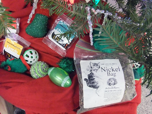 600 gifts under tree