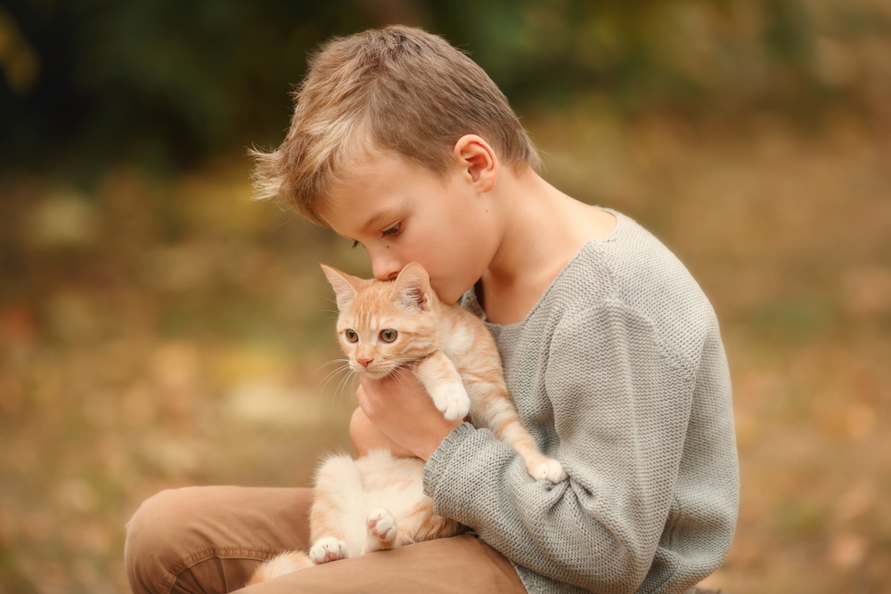 Boy with red cat ones autumn garden background close up photo