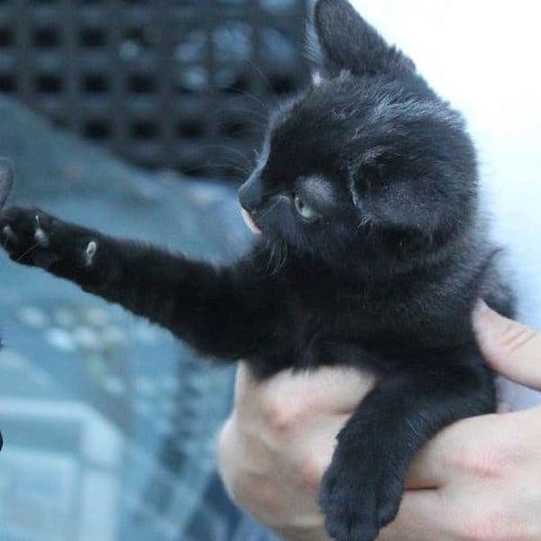 Bruce6