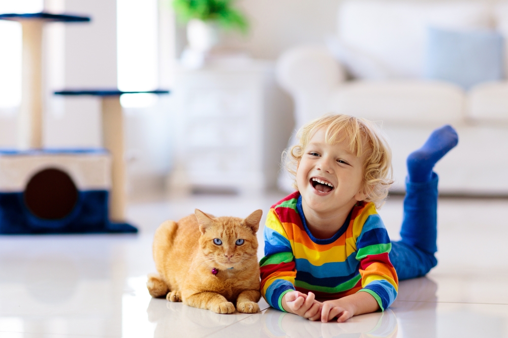 Child playing with cat at home