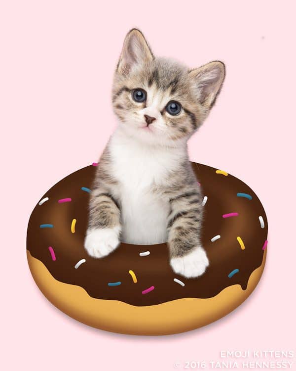 Emoji_Kittens_Tania_Hennessy_doughnut_%C2%A92016_Tania_Hennessy-600x750.jpg