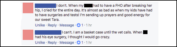 commmiserate