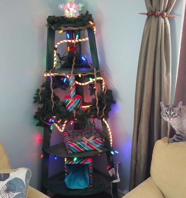 The moment I lit the new tree. Ghost Cat is giving me a look that says "Um, where's the real tree, Mom?"
