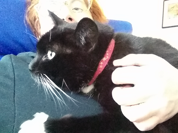 I missed having her on my lap "making biscuits."