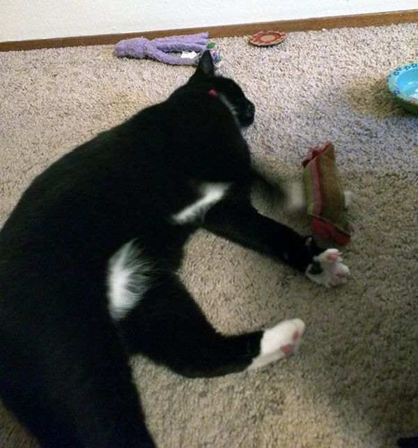 tara playing