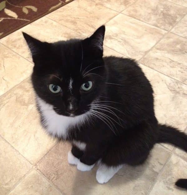 cosmo-looking-confused