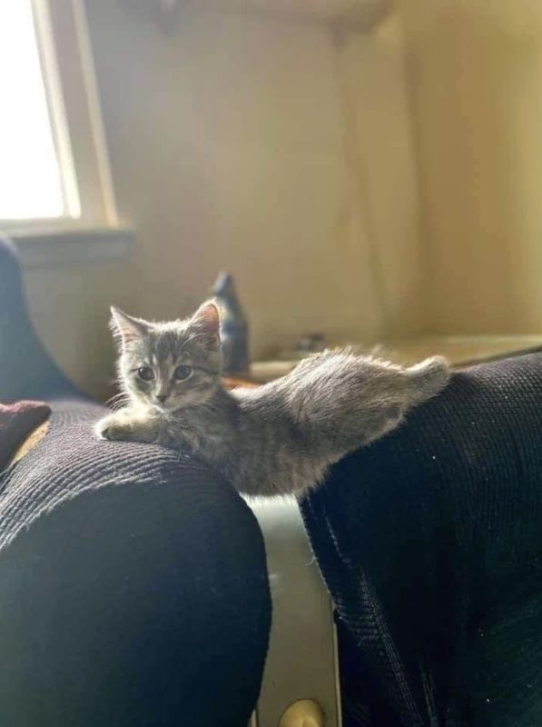 Weird Relaxing Spots