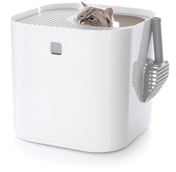 Sick of Boring Litter Boxes? Here Are Stylish Alternatives Catster