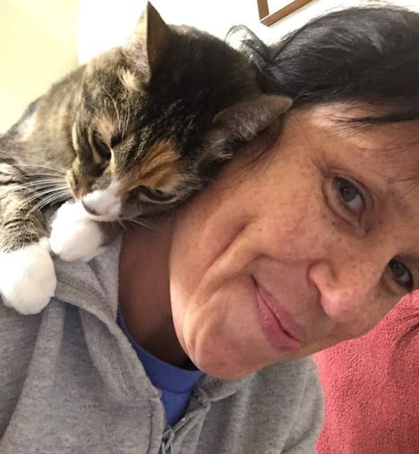 phoebe-cat-shoulder