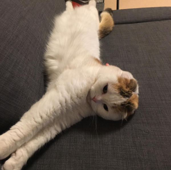 Momostretch
