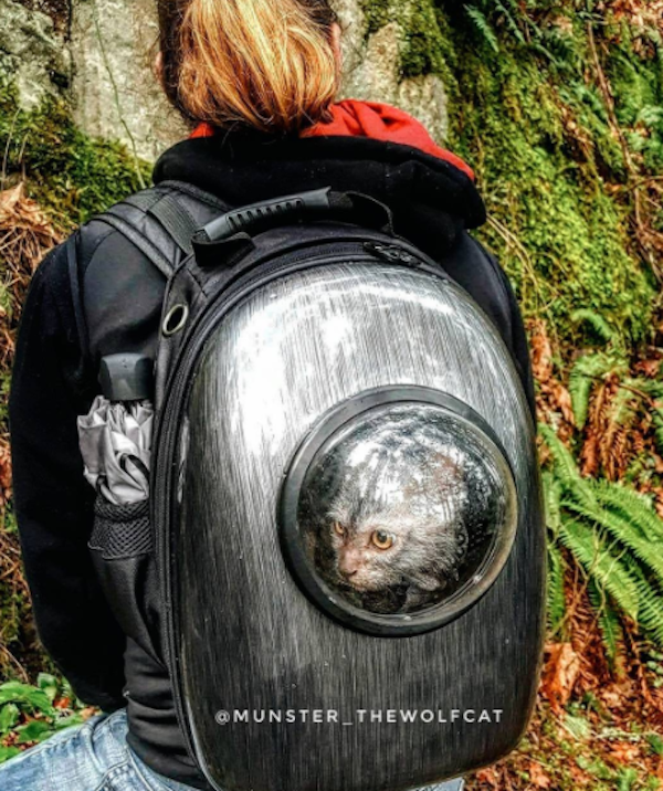 MunsterBackpack