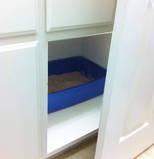 A litter box in a cabinet — where it shouldn't be!