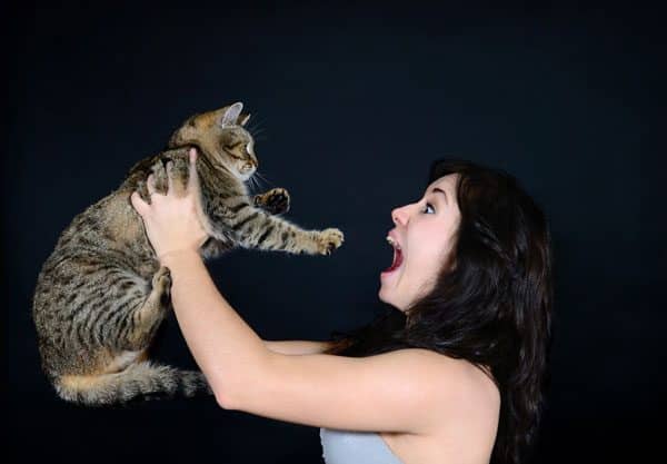 A woman yelling at a big brown tabby cat. 