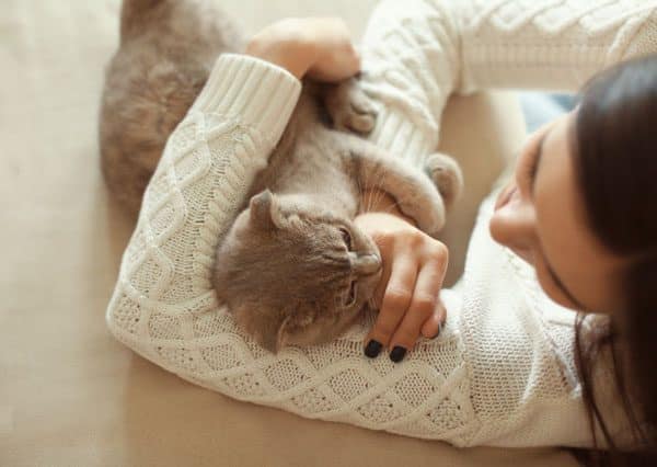 An orange cat biting a woman's hand.