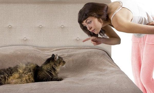 A woman pointing at a cat on a bed.