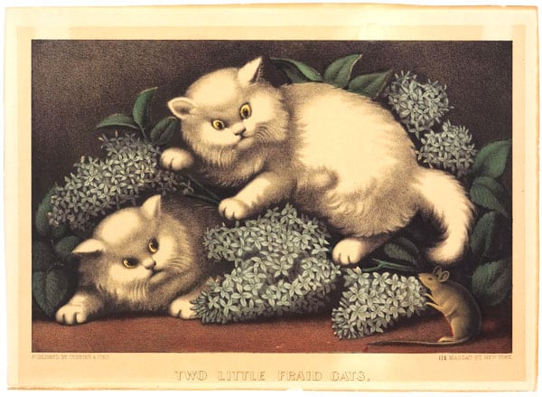 Meow-Mix-2-Little-Fraid-Cats