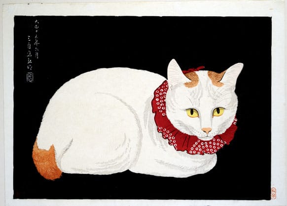 Meow-Mix-Tana