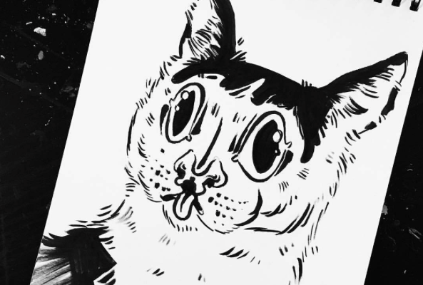 catster-piglet 5