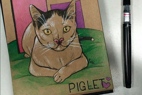 catster-piglet 7