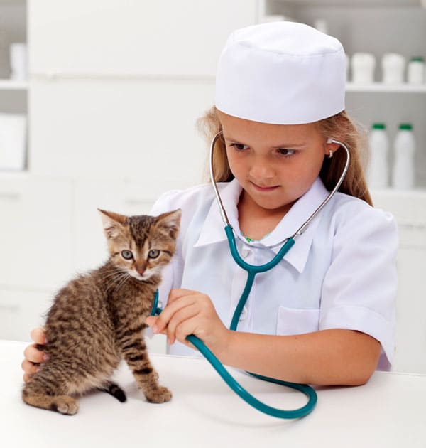 junior vet camp scholarships available for middle schoolers catster a vet