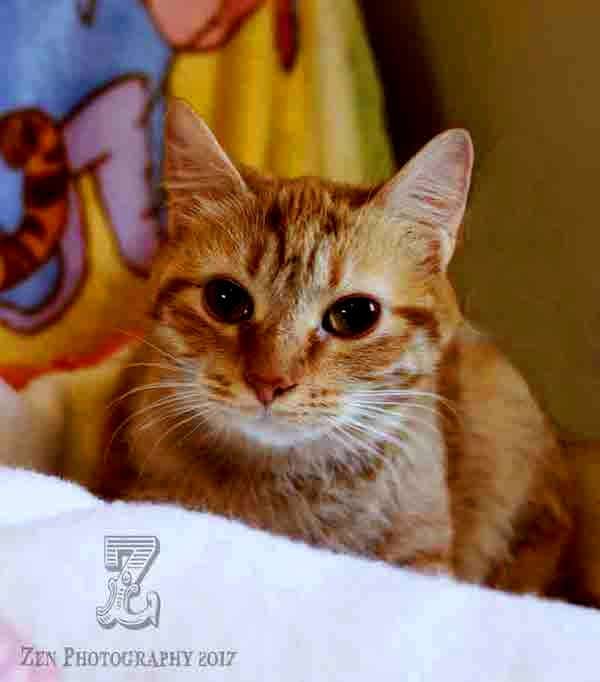 jackie1web