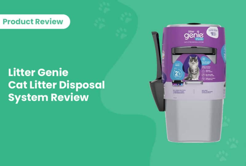 Litter Genie Cat Litter Disposal System Review