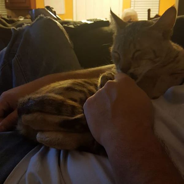 “Hilo with his Daddy suckling on his tail.” -Submitted by Facebook user Chris N Julie Fisher