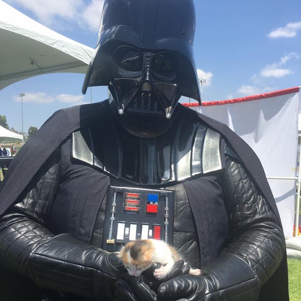 -Submitted by Facebook user Kristy Mayo