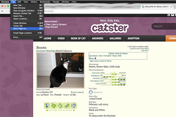 Save-as-Web-Page-Complete-1