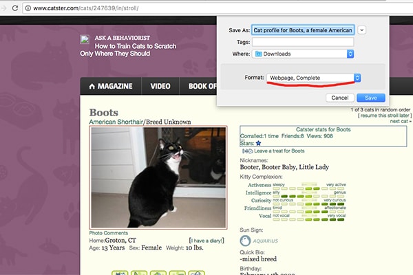 Save-as-Web-Page-Complete-2
