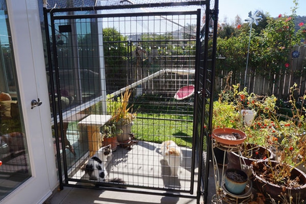 homemade cat enclosures