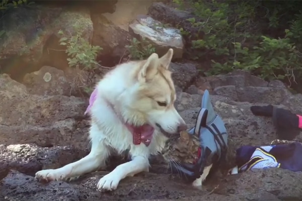 Lilo and Rosie kayak together on 'My Cat From Hell.'