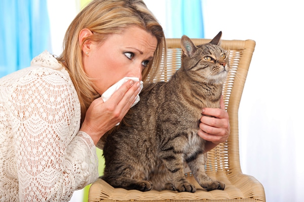 A woman blowing her nose near an agitated cat. 