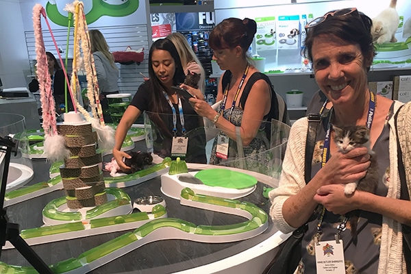 Meeting a rescue kitten who was testing out the Catit Senses 2.0 Play Circuit. Photography courtesy Annie Butler Shirreffs.