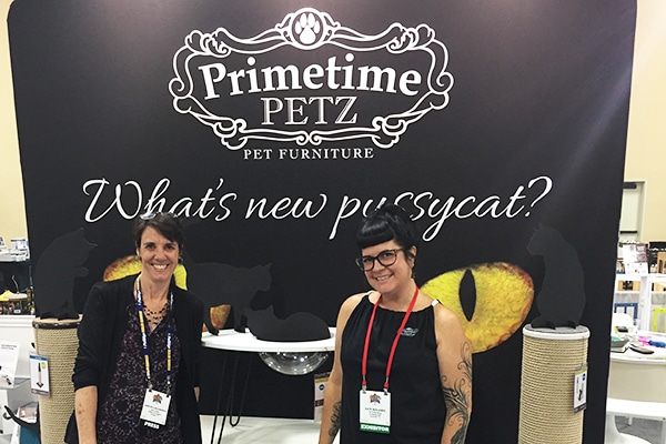 Hanging out with Kate Benjamin and checking out fun new cat furniture from Primetime Petz.