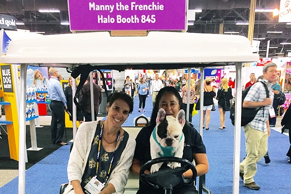 Manny the Frenchie is Halo's new spokesdog.