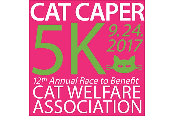 Photography courtesy CatCaper5K.