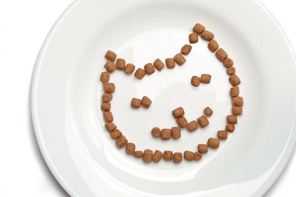 Dry cat food arranged in a smiley face pattern.